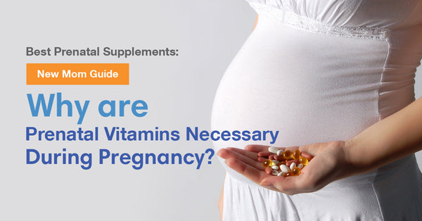 Best Prenatal Supplements: New Mom Guide