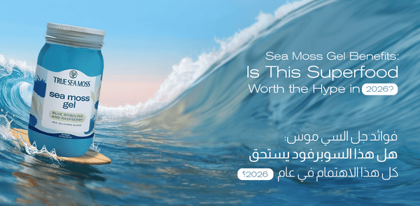 Sea Moss Gel Benefits: Is This Superfood Worth the Hype in 2026?