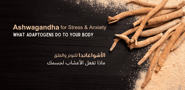 Ashwagandha for Stress & Anxiety: What Adaptogens Actually Do to Your Body