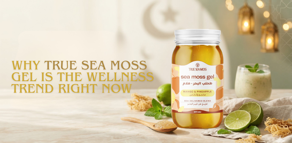 Why True Sea Moss Gel Is the Wellness Trend Right Now
