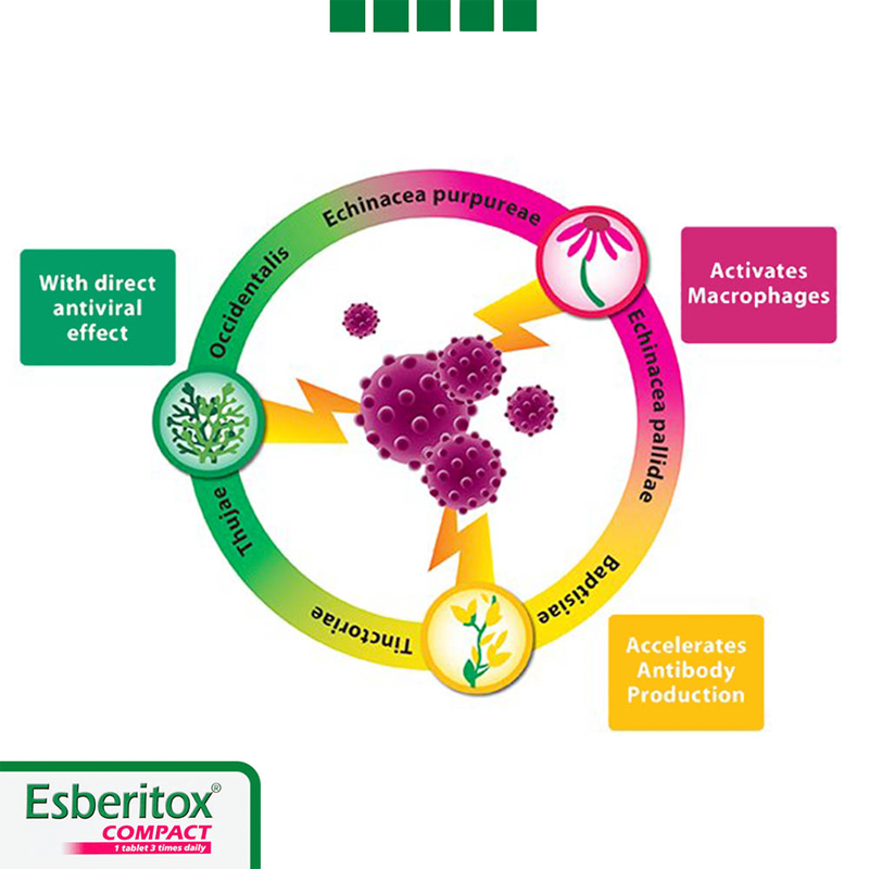 Esberitox - Compact, Shorten Common Cold - 20 Tablets