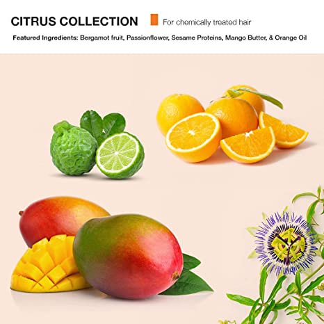 MOP Citrus Replenishing Shampoo for Chemically Treated Hair 250ml - Featured Ingredients