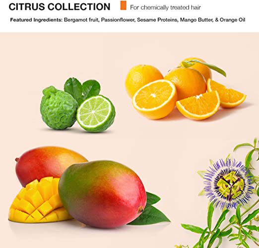 MOP C-System C-Curl Defining Cream with Coconut Oil Extracts 150ml - Featured Ingredients